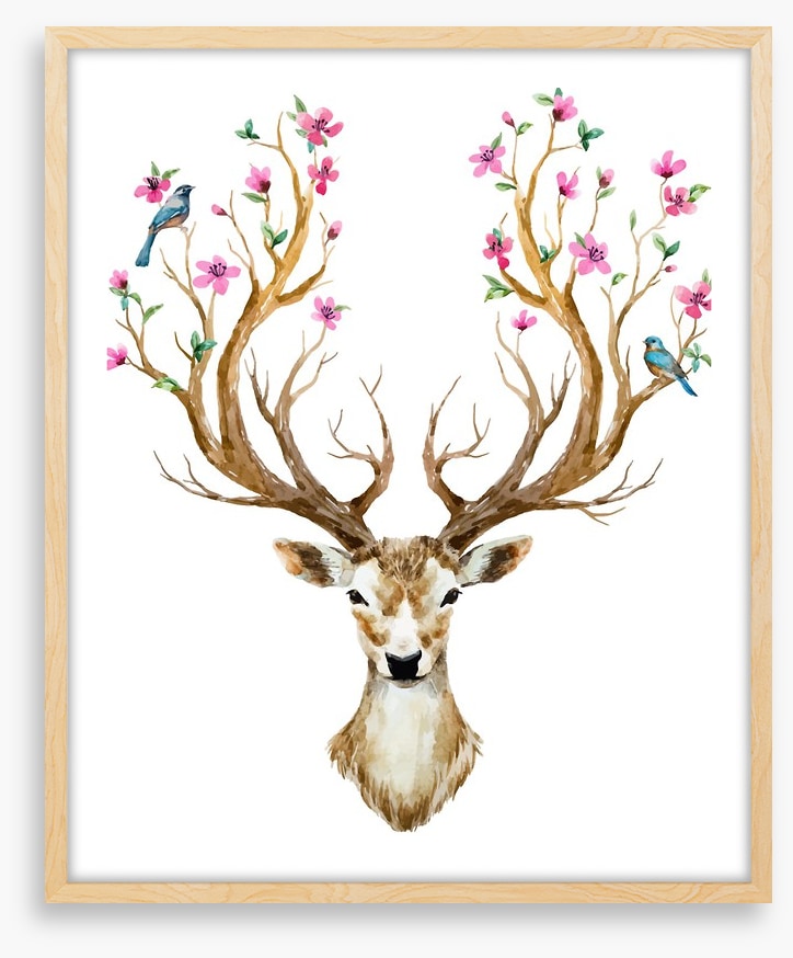 Spring deer