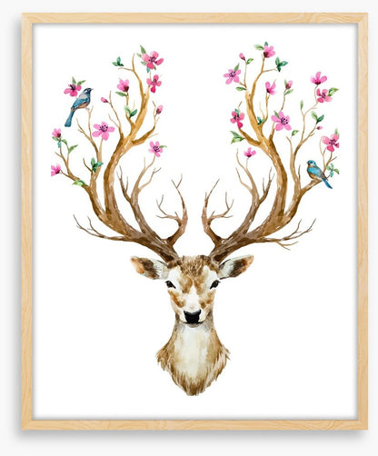 Spring deer