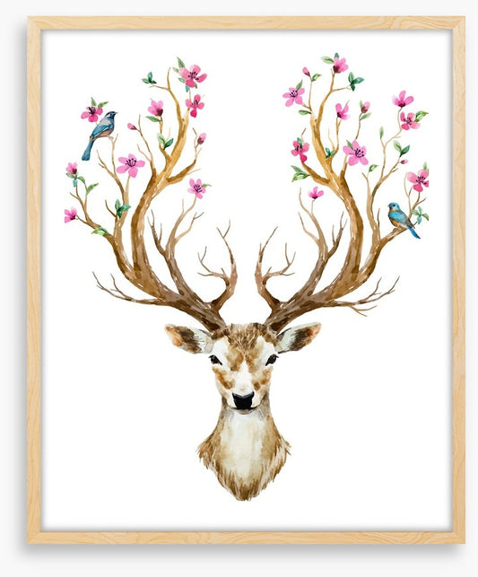 Spring deer
