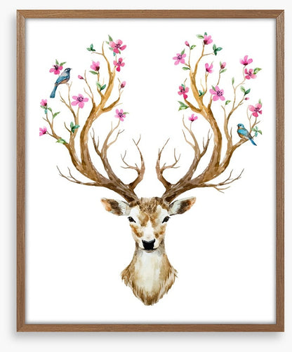 Spring deer