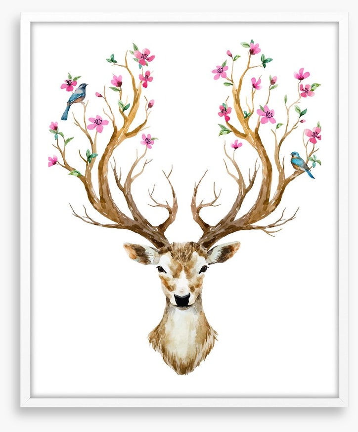 Spring deer
