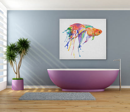 Rainbow goldfish