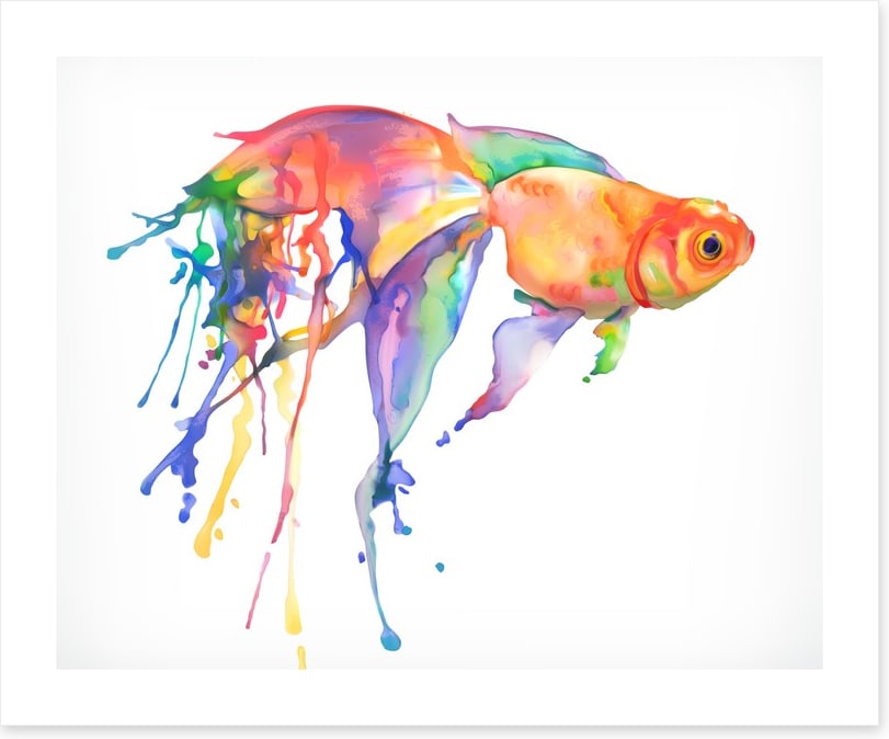 Rainbow goldfish