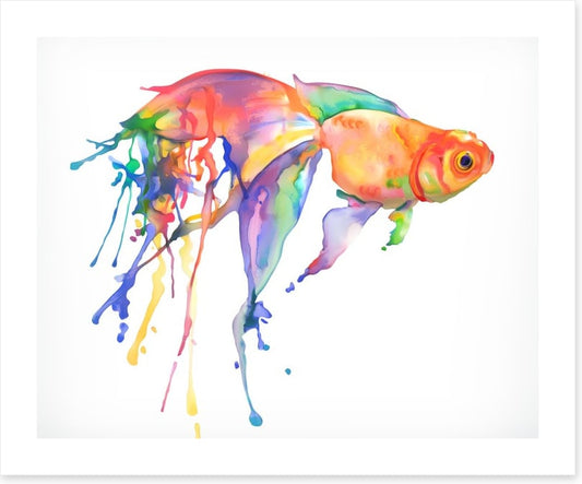 Rainbow goldfish