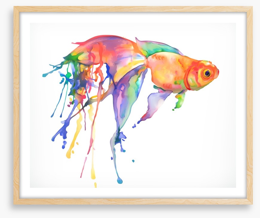 Rainbow goldfish