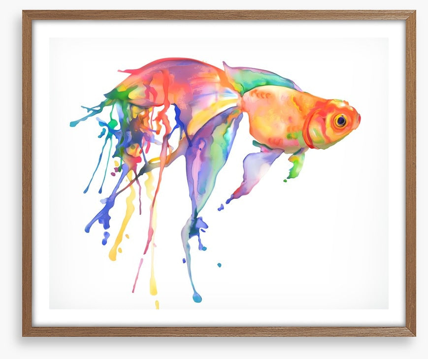 Rainbow goldfish