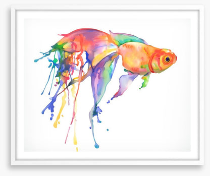 Rainbow goldfish