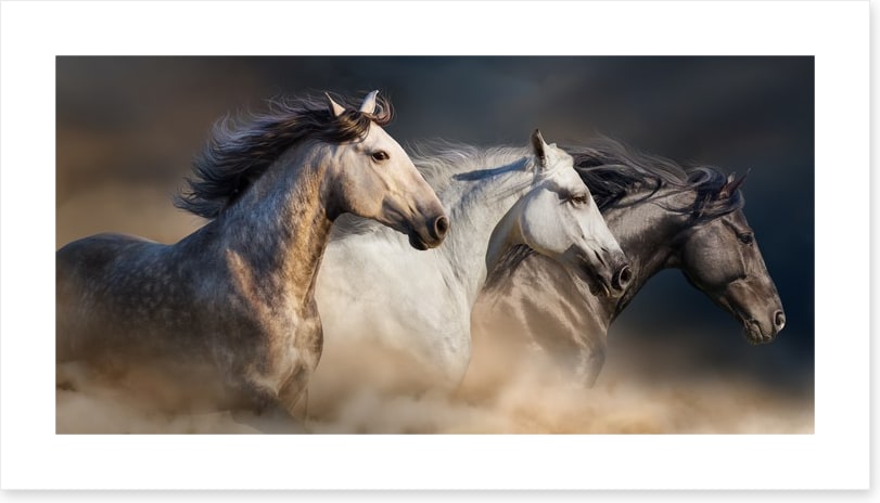 Born to run
