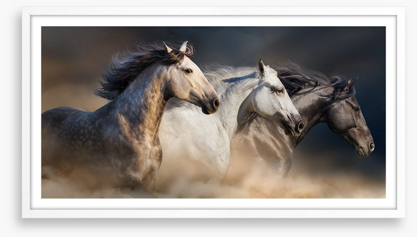 Born to run