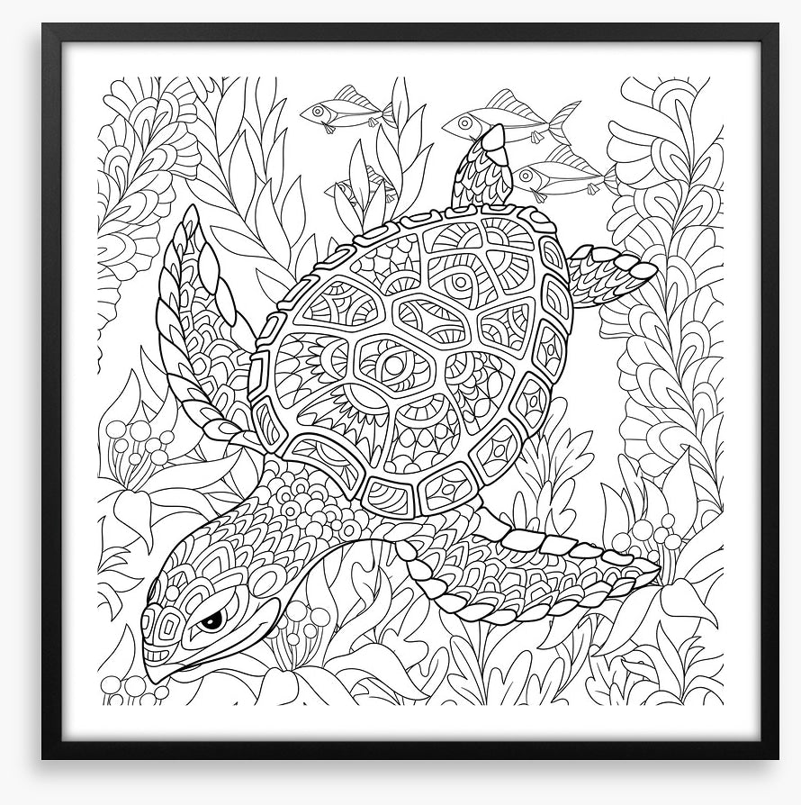 Colour me turtle
