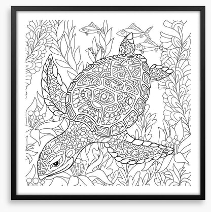 Colour me turtle