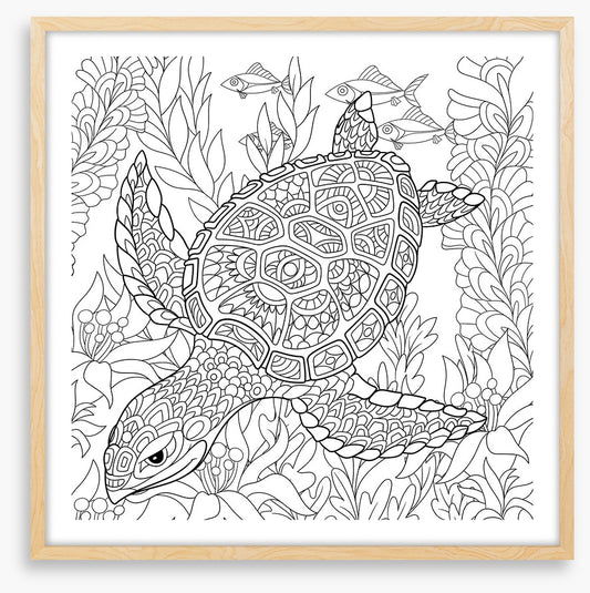 Colour me turtle
