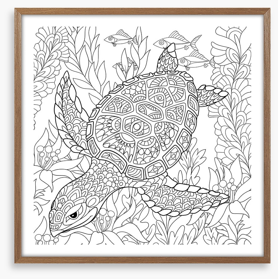 Colour me turtle