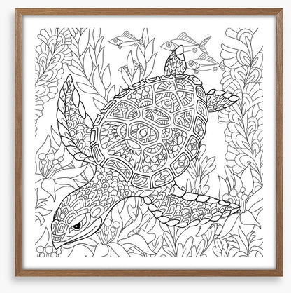 Colour me turtle