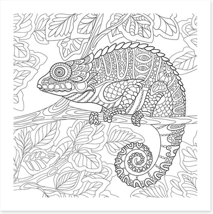 Colour me chameleon