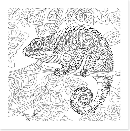 Colour me chameleon