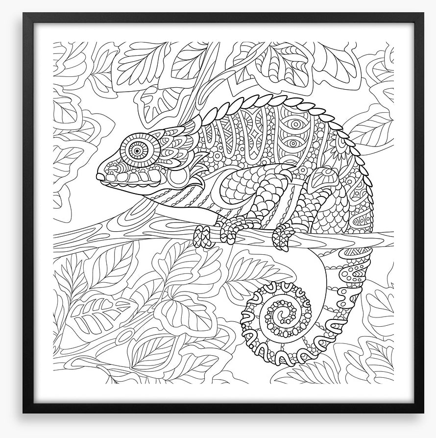 Colour me chameleon