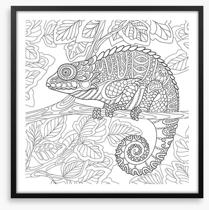Colour me chameleon