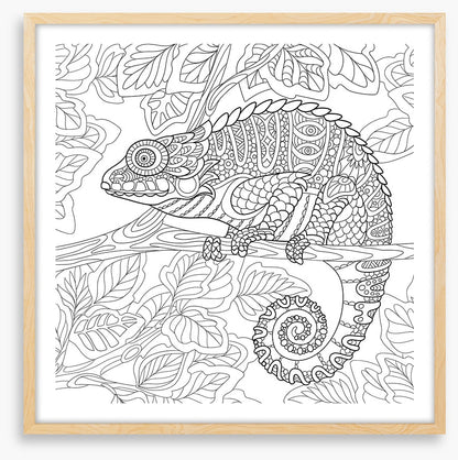Colour me chameleon
