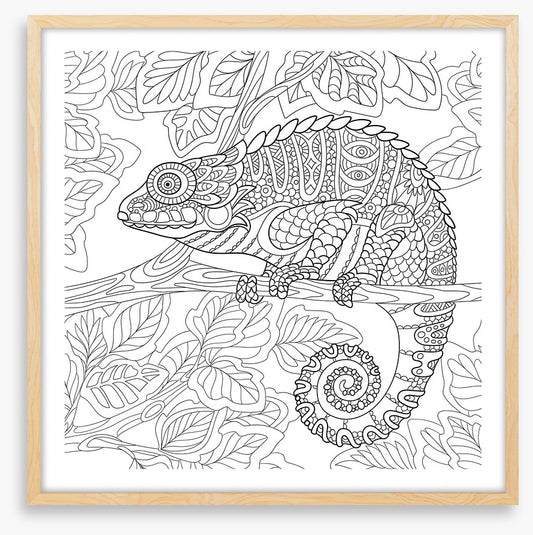 Colour me chameleon