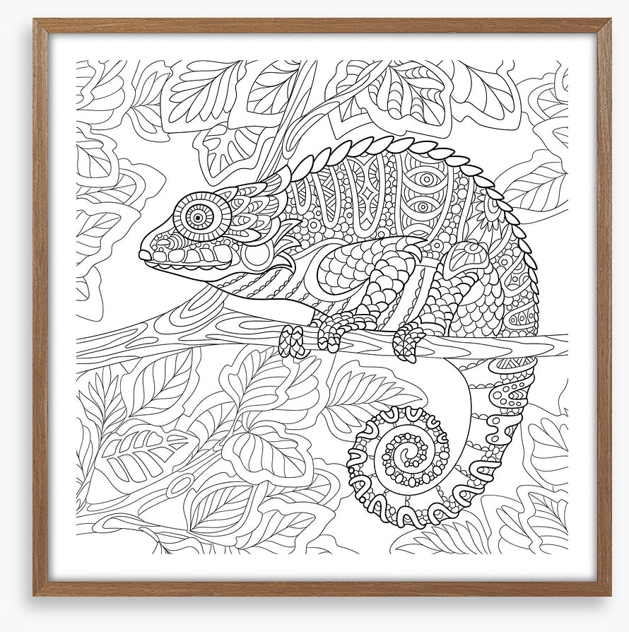 Colour me chameleon