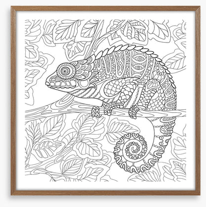 Colour me chameleon