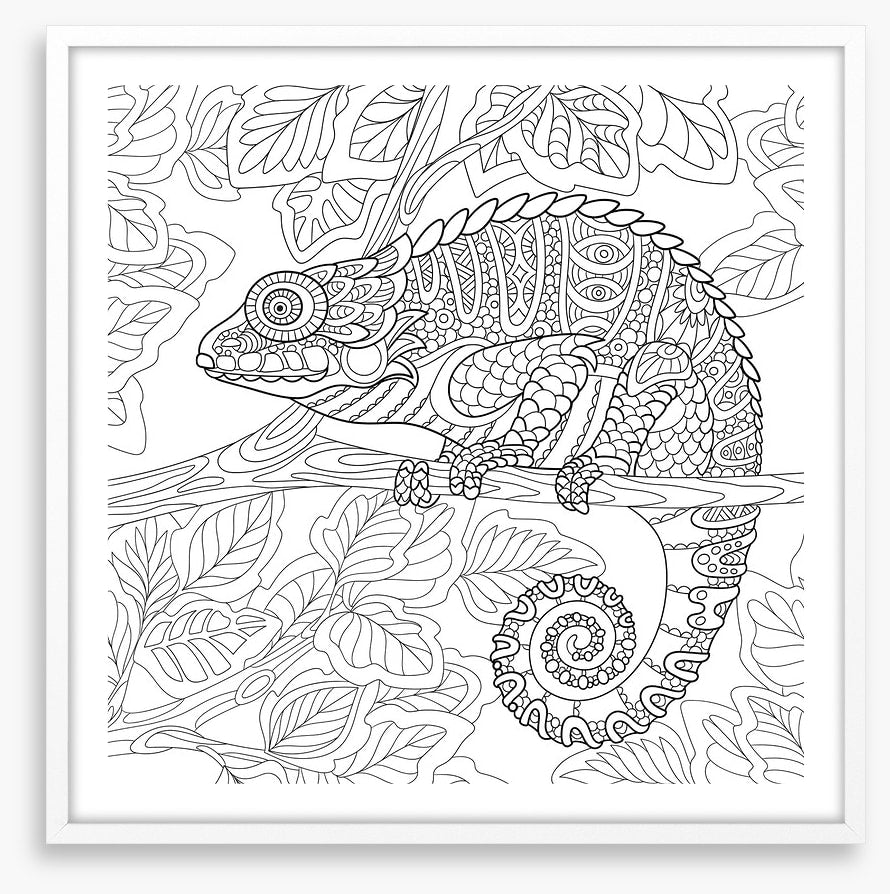 Colour me chameleon