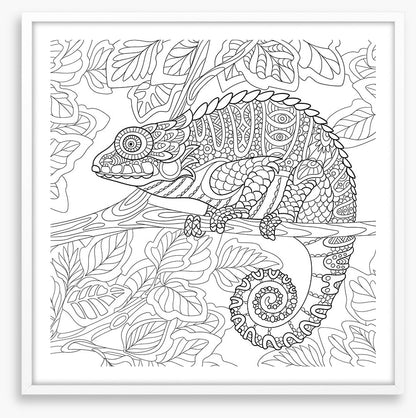 Colour me chameleon