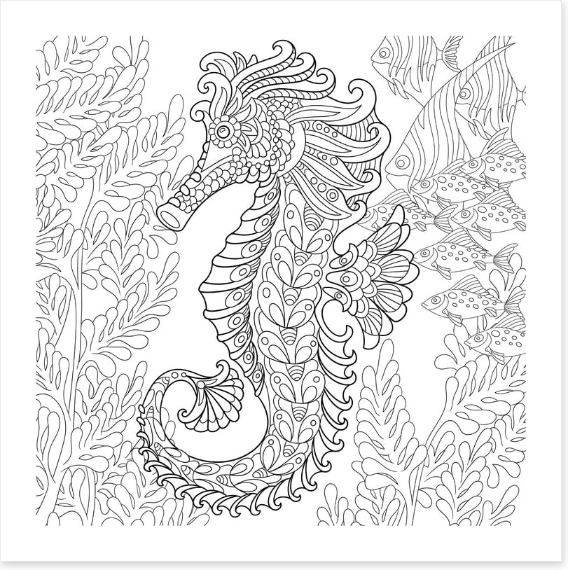 Colour me seahorse