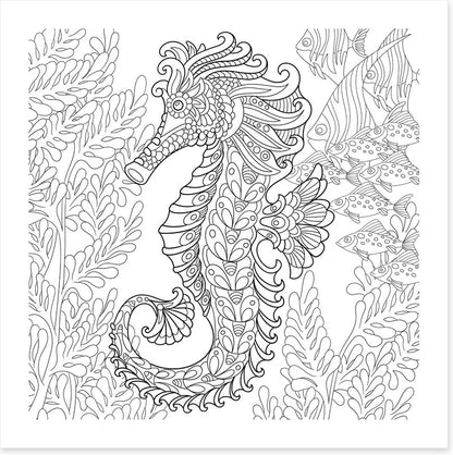 Colour me seahorse