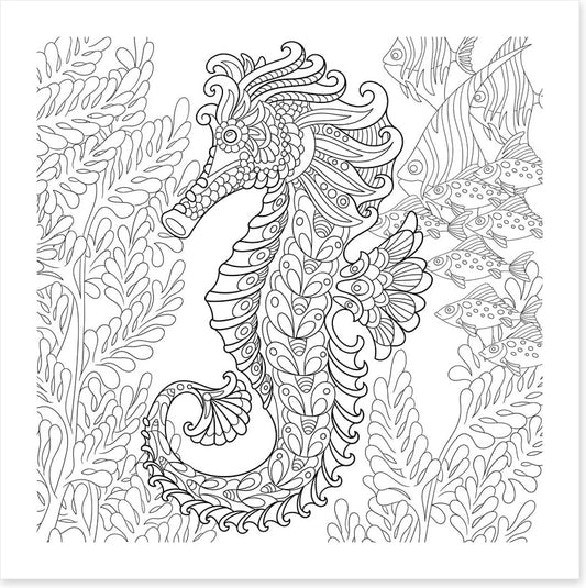 Colour me seahorse