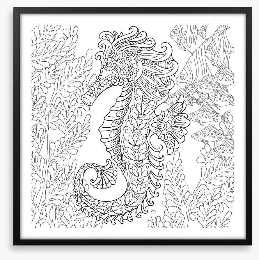 Colour me seahorse