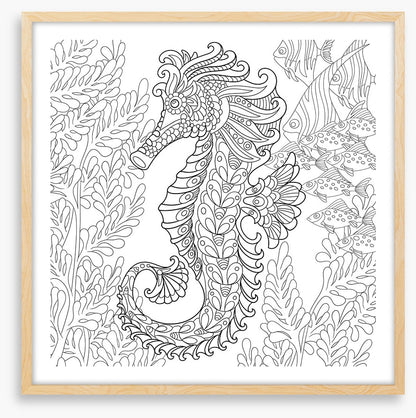 Colour me seahorse