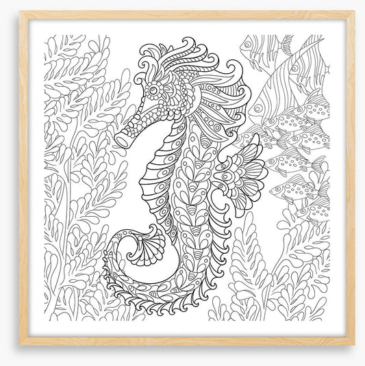 Colour me seahorse
