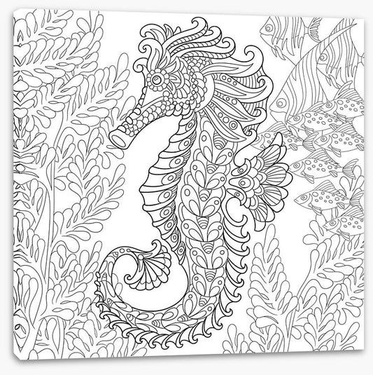 Colour me seahorse