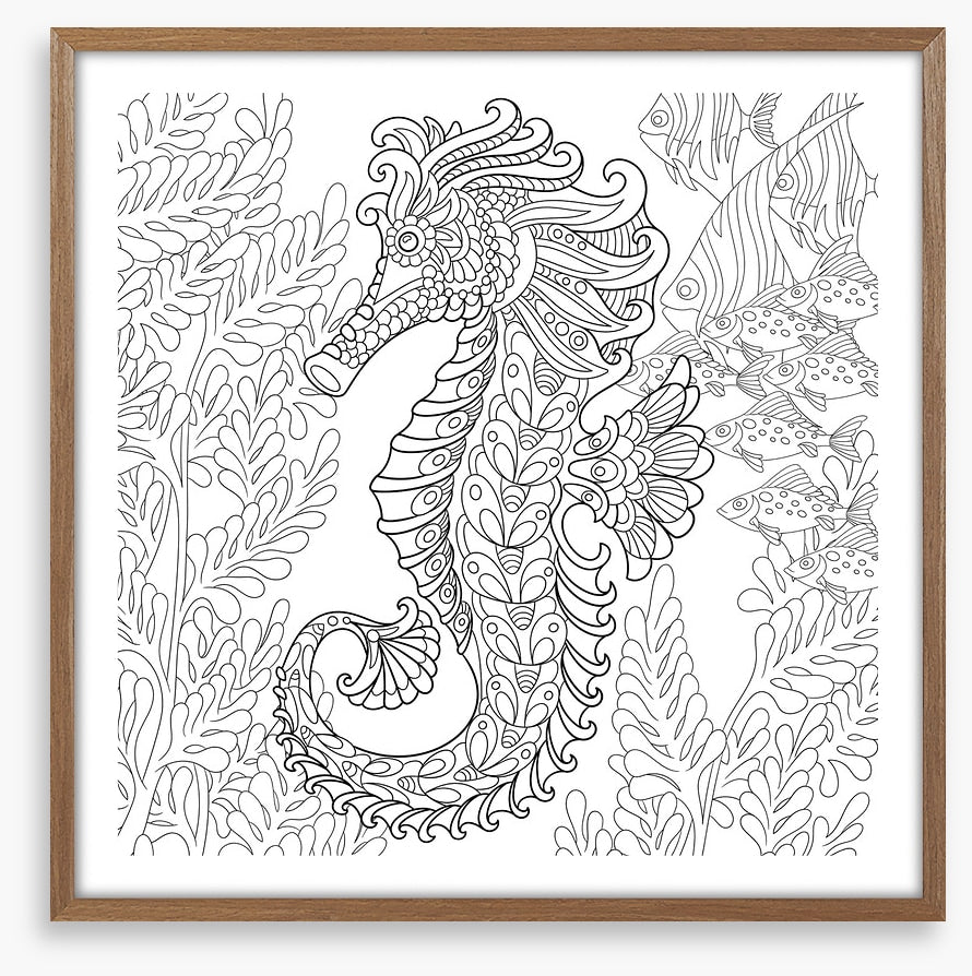 Colour me seahorse
