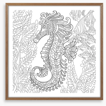 Colour me seahorse