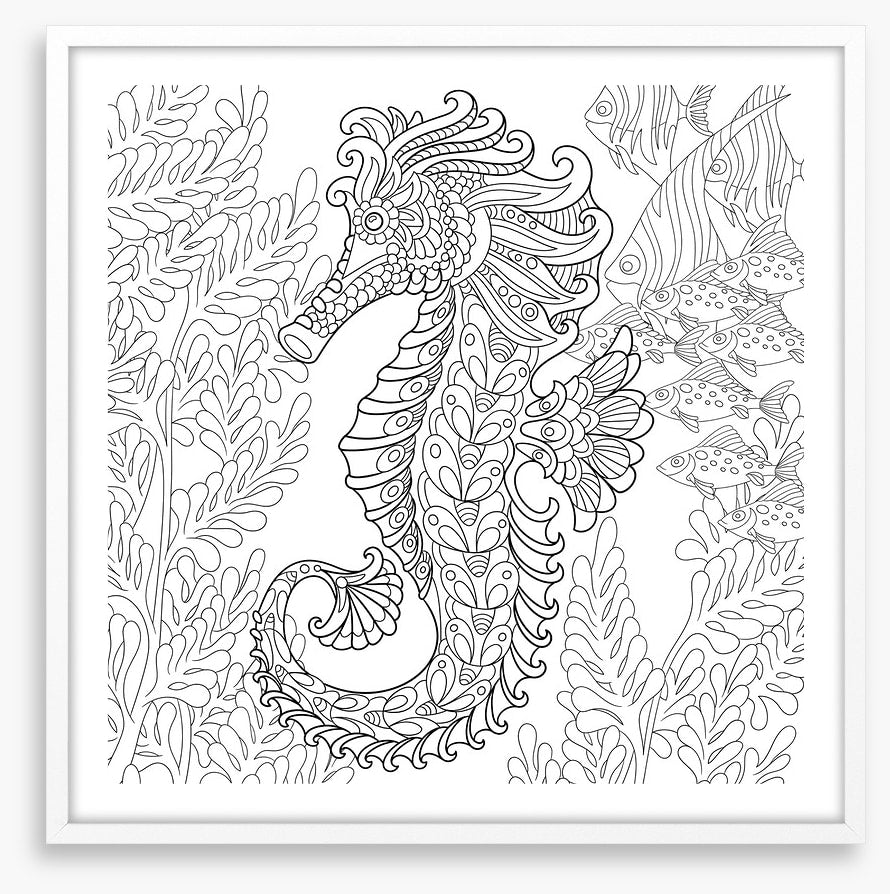 Colour me seahorse