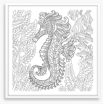 Colour me seahorse