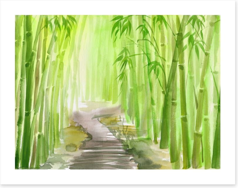 The bamboo path