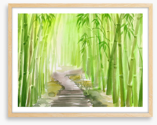 The bamboo path
