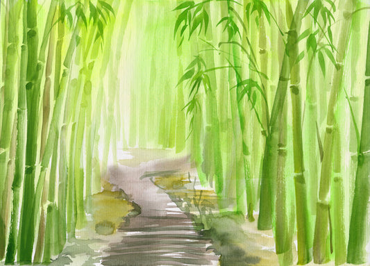 The bamboo path