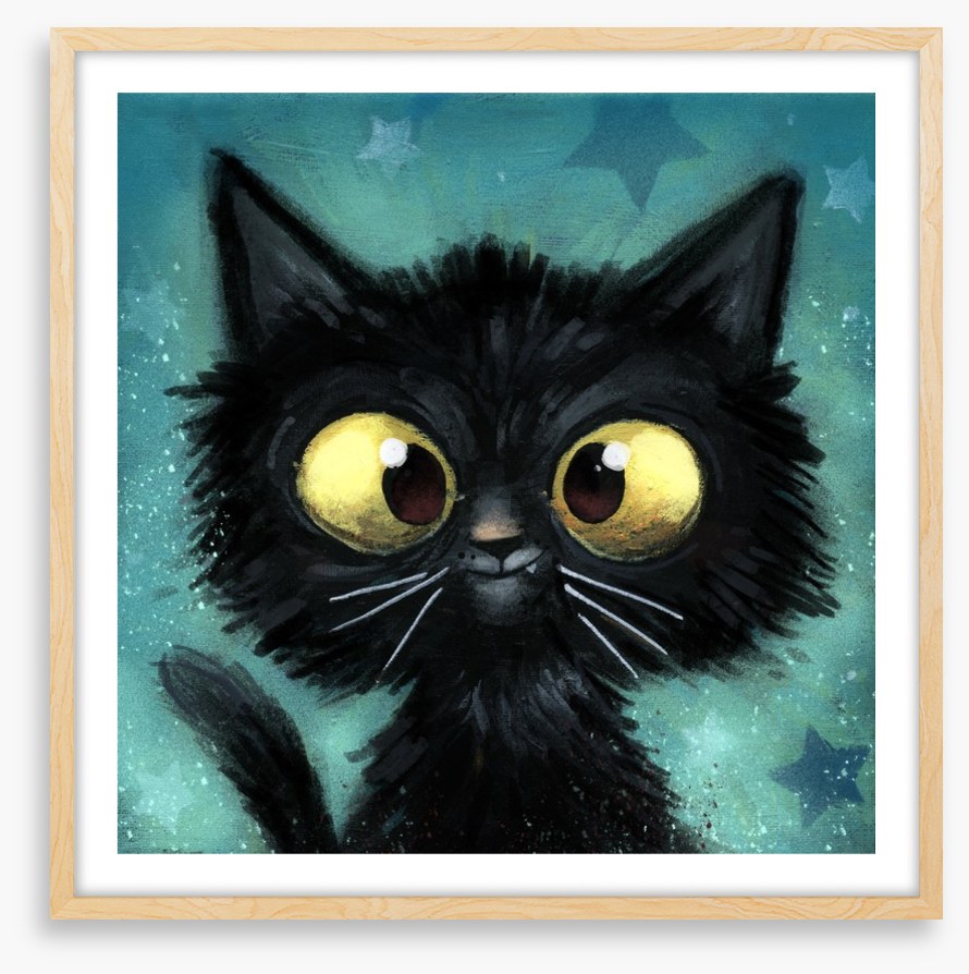 The black cat