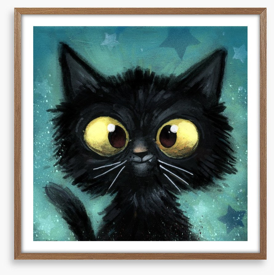 The black cat