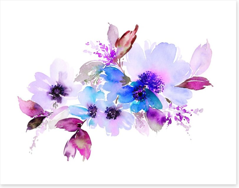 Violet bloom