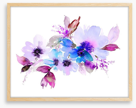 Violet bloom