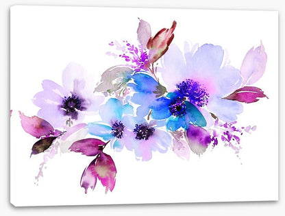 Violet bloom