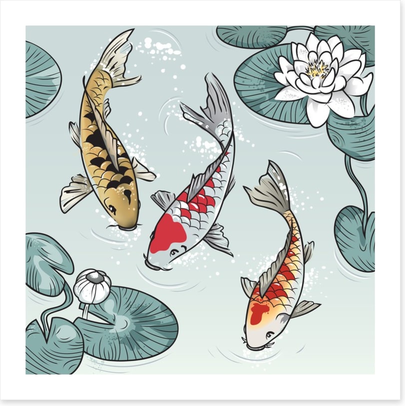 Kawaii koi fish