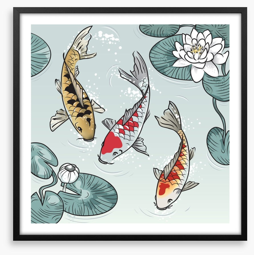 Kawaii koi fish