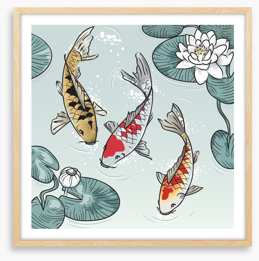 Kawaii koi fish